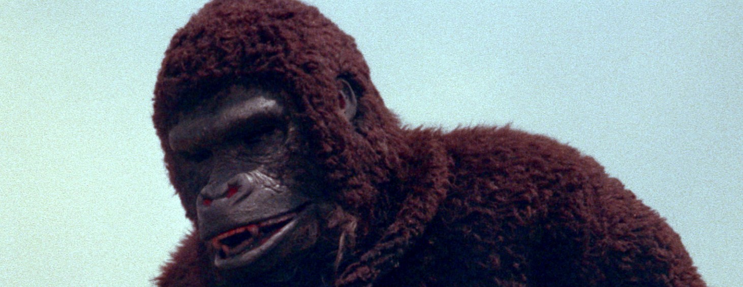 ape-1976-bild-2